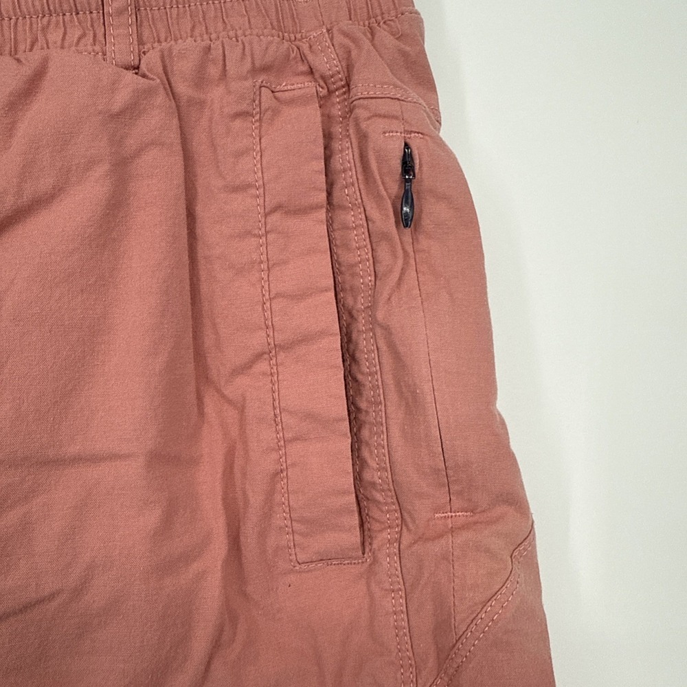 Birddogs Boom Benjamin Cranklins Lined Oxford Shorts Men's Large Golf Pink - Picture 6 of 9
